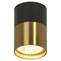Купить Потолочный светильник Lussole Loft LSP-8555 в Туле