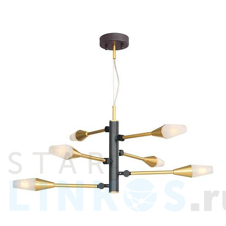 Купить Подвесная люстра Favourite Incognita 2565-6P за 12 000 руб. в Туле фото 2 Купить с доставкой Подвесная люстра Favourite Incognita 2565-6P в Туле фото 2