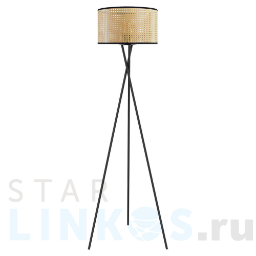 Купить Торшер Lussole Lgo LSP-0633 за 6 599 руб. в Туле Купить с доставкой Торшер Lussole Lgo LSP-0633 в Туле