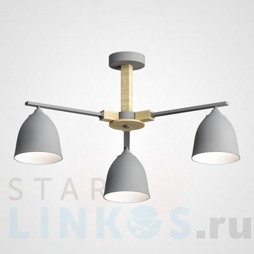 Купить Потолочная люстра Imperium Loft Noa 101838-26 за 17 230 руб. в Туле Купить с доставкой Потолочная люстра Imperium Loft Noa 101838-26 в Туле