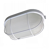 Купить Настенно-потолочный светильник ЭРА НБП 04-100-002 Б0048426 в Туле