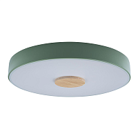 Купить Потолочный светодиодный светильник Loft IT Axel 10003/24 green в Туле