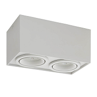 Купить Потолочный светильник Denkirs DK2004-WH в Туле