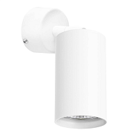 Купить Спот Lightstar Rullo (214436+590006) RB436 в Туле