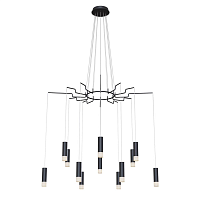 Купить Подвесная люстра Maytoni Davida MOD035PL-12B в Туле