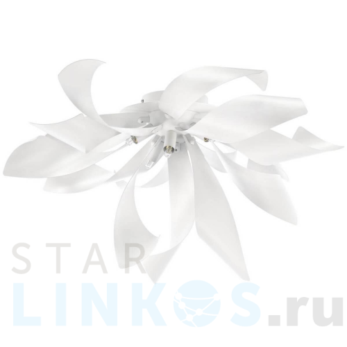 Купить Потолочная люстра Lightstar Turbio 754166 за 16 371 руб. в Туле Купить с доставкой Потолочная люстра Lightstar Turbio 754166 в Туле