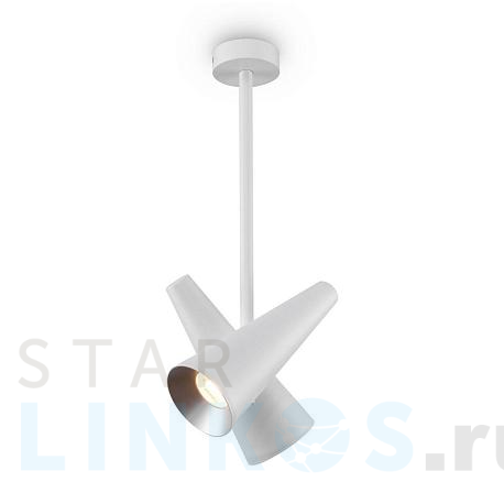 Купить Подвесная люстра Maytoni Giro MOD095CL-02W за 11 676 руб. в Туле фото 2 Купить с доставкой Подвесная люстра Maytoni Giro MOD095CL-02W в Туле фото 2