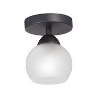 Купить Потолочный светильник Vitaluce V3963-1/1PL в Туле