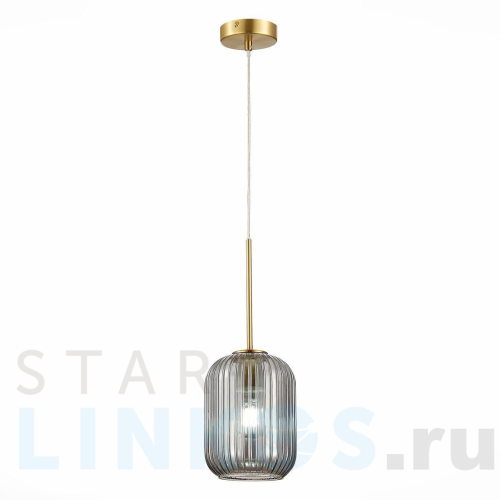 Купить с доставкой Подвесной светильник ST Luce Gran SL1154.323.01 в Туле
