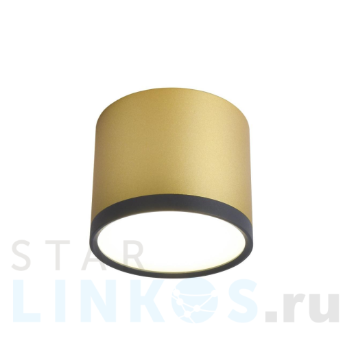 Купить Потолочный светильник Favourite Baral 3082-2C за 2 300 руб. в Туле Купить с доставкой Потолочный светильник Favourite Baral 3082-2C в Туле