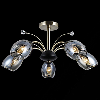 Купить Потолочная люстра Illumico IL9737-5CSQ-29 BK AB в Туле