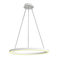 Купить Подвесной светодиодный светильник Kink Light Тор 08212,01A(4000K) в Туле