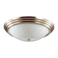 Купить Настенно-потолочный светильник Lumion Vintage Kayla 5262/3C в Туле
