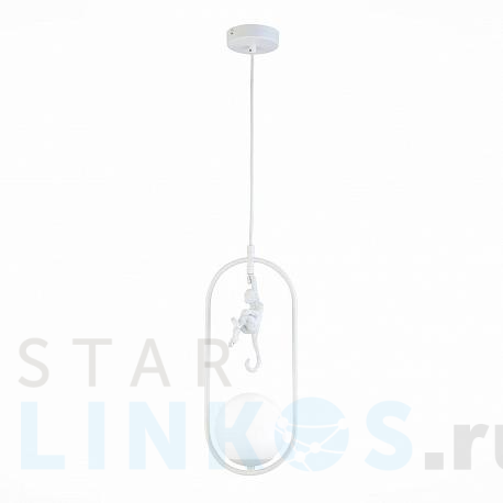 Купить Подвесной светильник Evoluce Tenato SLE115123-01 за 5 730 руб. в Туле фото 2 Купить с доставкой Подвесной светильник Evoluce Tenato SLE115123-01 в Туле фото 2