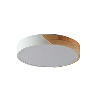 Купить Потолочный светильник Zortes ALBERRO ZRS.01289.72 в Туле