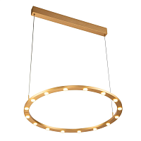 Купить Подвесная светодиодная люстра Gerhort G51229/1GD в Туле