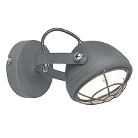 Купить Спот Zumaline Balve G917006-1R в Туле