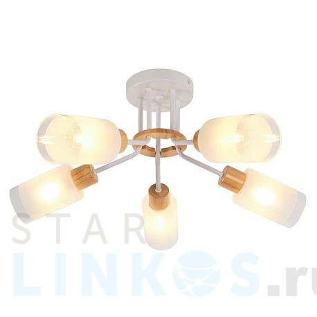 Купить Потолочная люстра MyFar Linda MR1860-5C за 10 895 руб. в Туле фото 2 Купить с доставкой Потолочная люстра MyFar Linda MR1860-5C в Туле фото 2