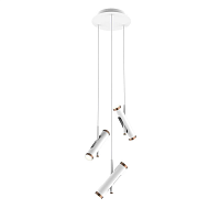 Купить Подвесная светодиодная люстра Favourite Duplex 2325-6P в Туле