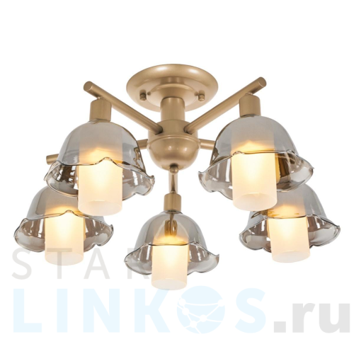 Купить с доставкой Потолочная люстра MyFar Lisa MR1481-5C в Туле