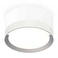 Купить Комплект накладного светильника Ambrella light Techno Spot XS (C8101, N8118) XS8101003 в Туле