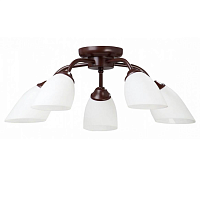 Купить Потолочная люстра Vitaluce V3252/5PL в Туле