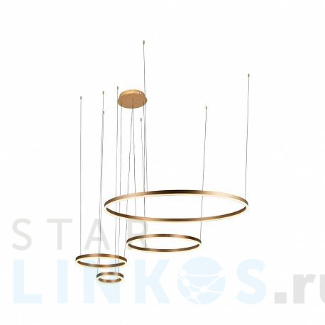 Купить Подвесной светодиодный светильник Loft IT Ring 10017/4S за 41 080 руб. в Туле фото 2 Купить с доставкой Подвесной светодиодный светильник Loft IT Ring 10017/4S в Туле фото 2