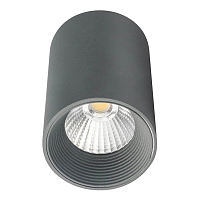 Купить Потолочный светодиодный светильник Escada 20003SMU/01LED SGY в Туле