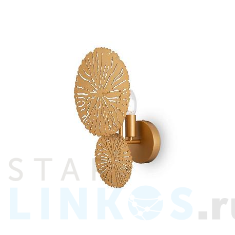 Купить Настенный светильник Maytoni Lovetann MOD082WL-01G за 8 190 руб. в Туле фото 2 Купить с доставкой Настенный светильник Maytoni Lovetann MOD082WL-01G в Туле фото 2