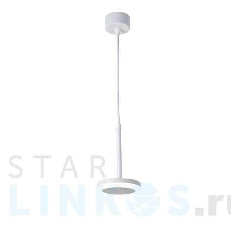 Купить Подвесной светильник Favourite Sarkal 3078-1P за 3 300 руб. в Туле фото 2 Купить с доставкой Подвесной светильник Favourite Sarkal 3078-1P в Туле фото 2