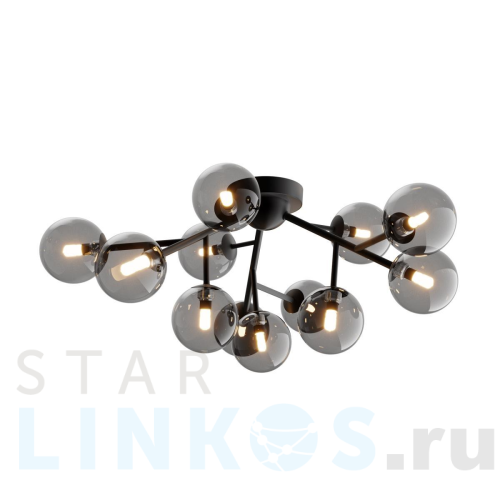 Купить Потолочная люстра Maytoni Dallas MOD545CL-12B за 25 490 руб. в Туле Купить с доставкой Потолочная люстра Maytoni Dallas MOD545CL-12B в Туле