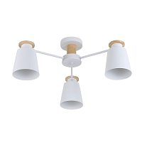 Купить Потолочная люстра Rivoli Adna 9112-303 Б0053435 в Туле