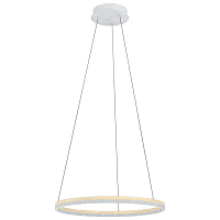 Купить Подвесной светодиодный светильник Eglo Cadegal 39896 в Туле