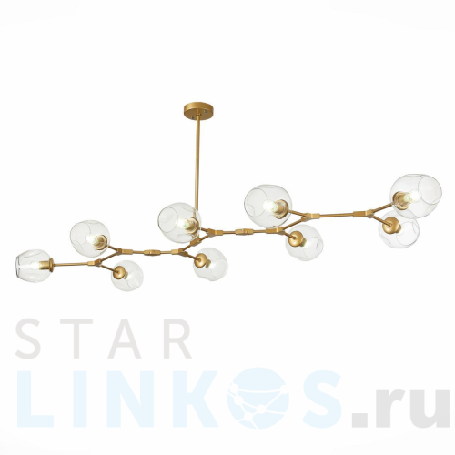 Купить Подвесная люстра Evoluce Rametto SLE154823-09 за 26 760 руб. в Туле Купить с доставкой Подвесная люстра Evoluce Rametto SLE154823-09 в Туле