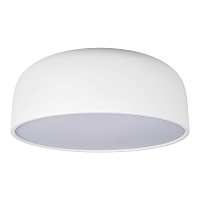 Купить Потолочный светодиодный светильник Loft IT Axel 10201/480 White в Туле