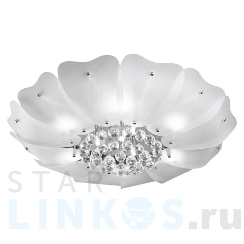 Купить Потолочный светильник Lightstar Lobo 804040 за 32 000 руб. в Туле Купить с доставкой Потолочный светильник Lightstar Lobo 804040 в Туле