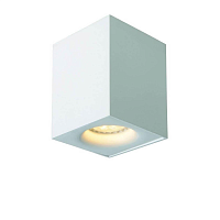 Купить Потолочный светильник Lucide Bentoo Led 09913/05/31 в Туле