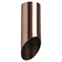 Купить Потолочный светильник Lightstar Rullo (214430+201430) R43030 в Туле