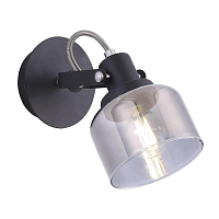 Купить Спот Freya Evette FR5042CW-01B в Туле