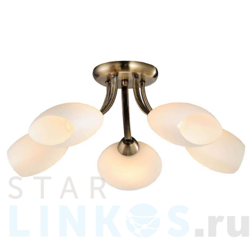 Купить Потолочная люстра Lussole Lgo GRLSP-0189 за 8 957 руб. в Туле Купить с доставкой Потолочная люстра Lussole Lgo GRLSP-0189 в Туле