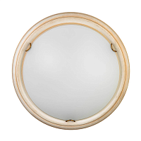 Купить Настенно-потолочный светодиодный светильник Sonex Snok Provence 7605/BL в Туле