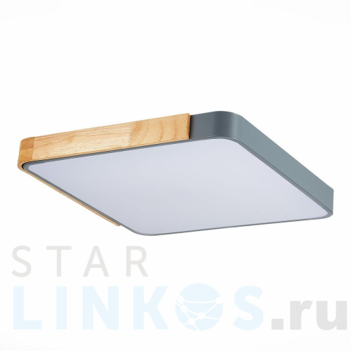 Купить с доставкой Потолочный сетодиодный светильник Evoluce Festa SLE201272-01 в Туле