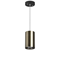 Купить Подвесной светильник Lightstar Rullo (214431+590057) RP431 в Туле