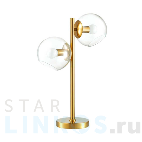 Купить Настольная лампа Lumion Moderni Blair 3769/2T за 8 500 руб. в Туле Купить с доставкой Настольная лампа Lumion Moderni Blair 3769/2T в Туле