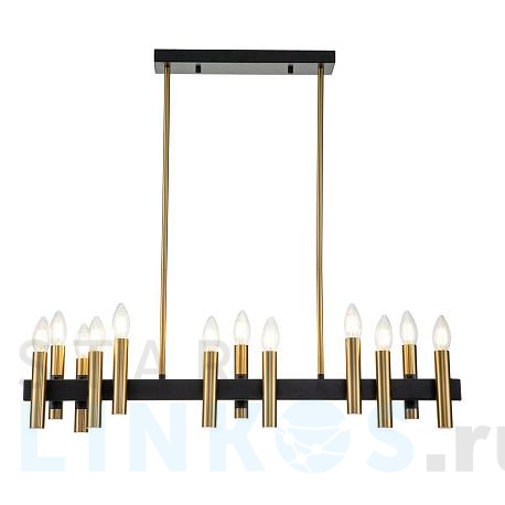 Купить Подвесная люстра Indigo Cero 13009/12RL Black V000208 за 36 340 руб. в Туле фото 2 Купить с доставкой Подвесная люстра Indigo Cero 13009/12RL Black V000208 в Туле фото 2