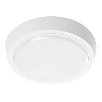 Купить Настенно-потолочный светодиодный светильник Feron AL3020 41770 в Туле