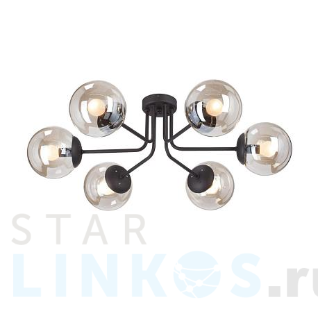 Купить Потолочная люстра Vitaluce V4998-1/6PL за 12 103 руб. в Туле фото 2 Купить с доставкой Потолочная люстра Vitaluce V4998-1/6PL в Туле фото 2