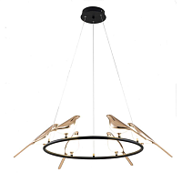 Купить Подвесная светодиодная люстра Divinare Summer 1188/06 LM-42 в Туле