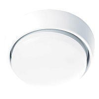 Купить Потолочный светильник Feron HL63 41703 в Туле