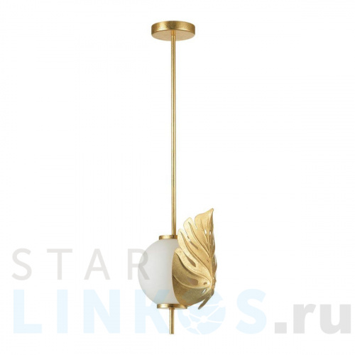 Купить Подвесной светильник Odeon Light Modern Jungle 4864/1 за 7 540 руб. в Туле Купить с доставкой Подвесной светильник Odeon Light Modern Jungle 4864/1 в Туле